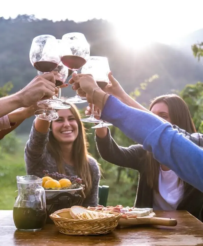 Friends toasting at outdoor gathering