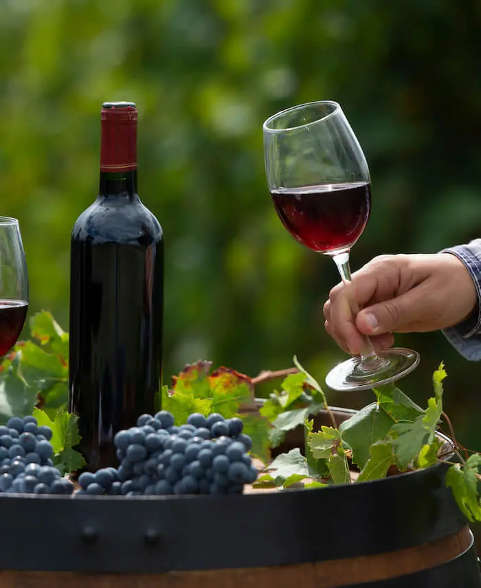 Red wine with grapes outdoors