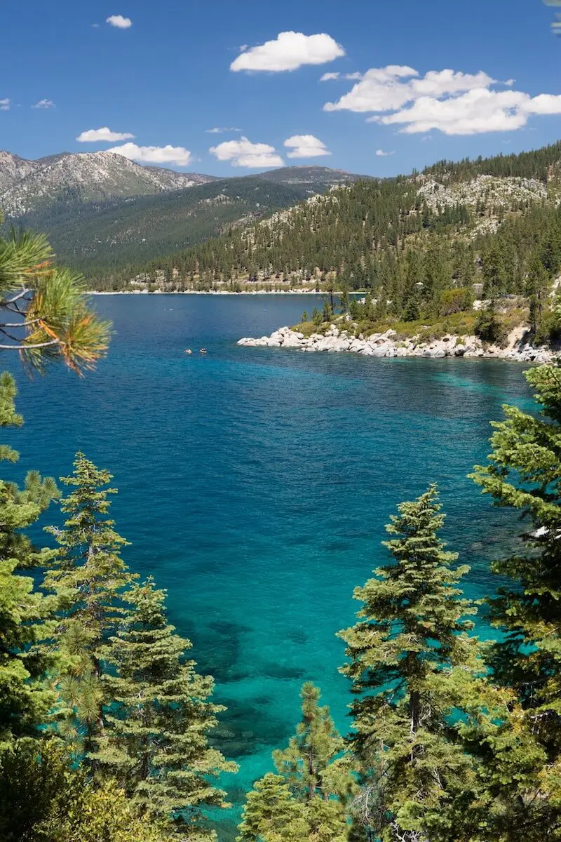 Lake view with pine trees