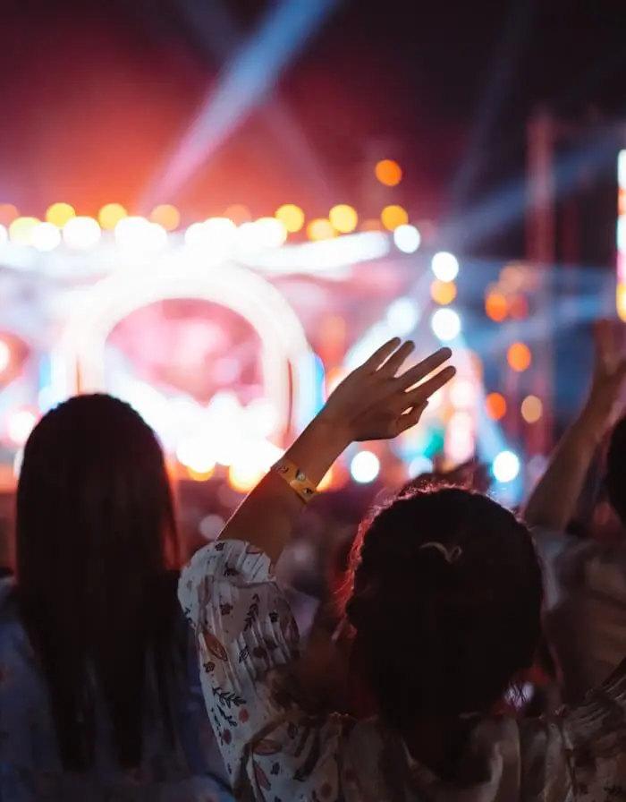 Concert crowd enjoying live music