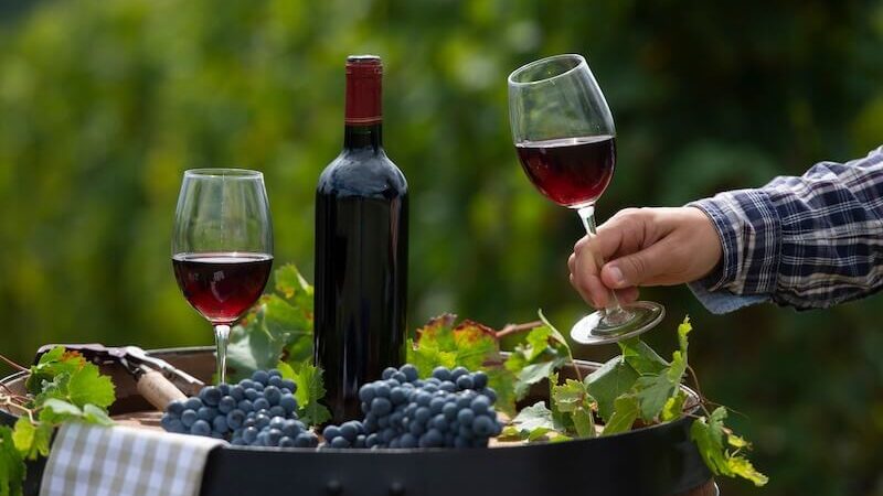 Red wine glasses vineyard setting